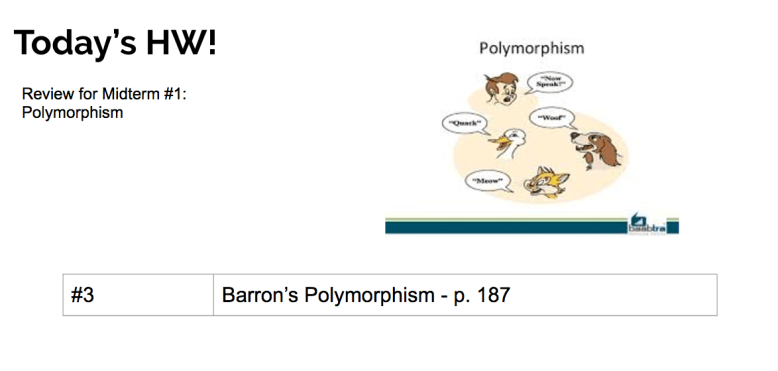 Screen Shot 2017-02-12 at 12.28.14 PM.png